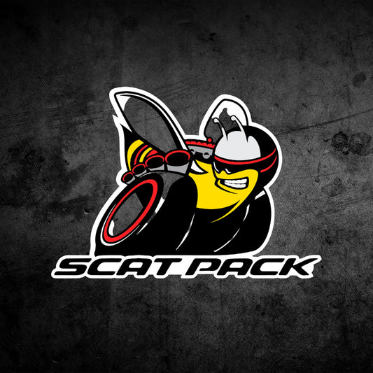 Scat Pack Door Light